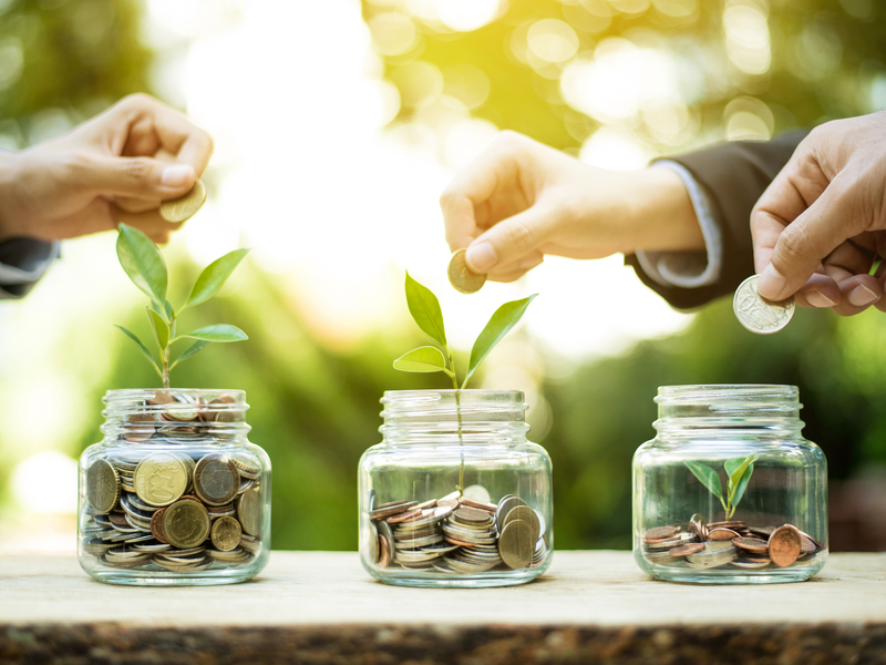 Plusieurs mains d'hommes d'affaires mettent de la monnaie dans des pots d'où poussent des plantes.