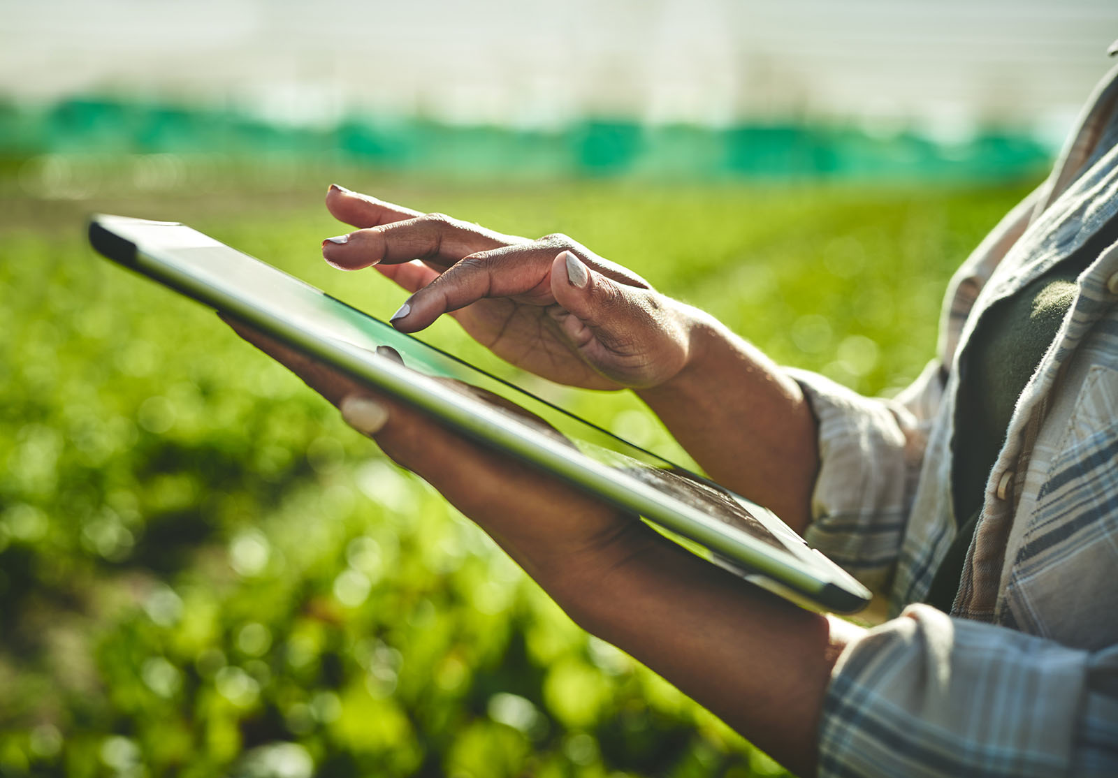 Utilisation des dernières techniques agricoles