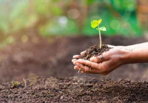 La transition écologique suscite l’intérêt