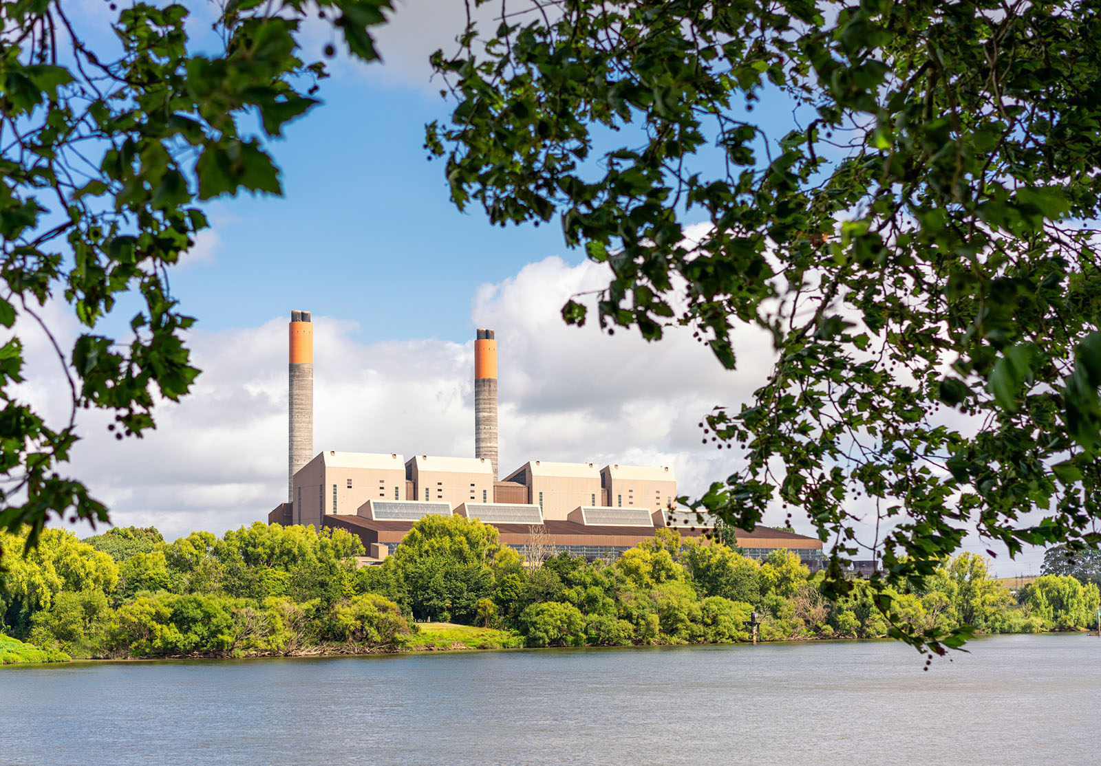 Feuilles au premier plan autour d'une centrale électrique au charbon située sur les rives de la rivière Waikato près de Huntly en Nouvelle-Zélande.